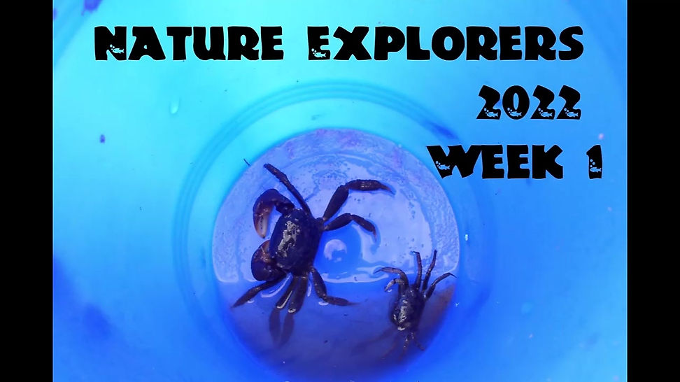 Nature Explorers 2022 week 1